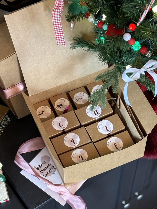 12 Days of BDI Christmas Mystery Box For Sale