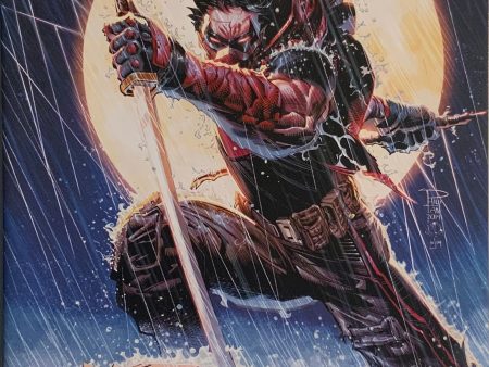 RED HOOD : OUTLAW #44 TAN VARIANT COVER Online Sale