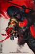 RED HOOD : OUTLAW #28 PUTRI VARIANT COVER Online Sale