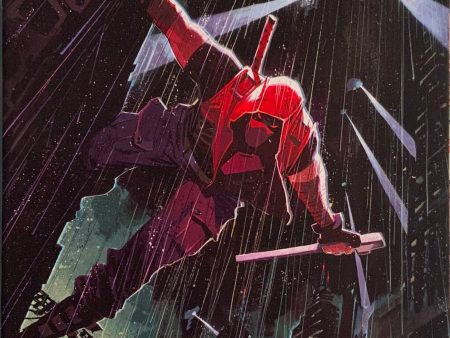 RED HOOD : OUTLAW #31 SCALERA VARIANT COVER on Sale